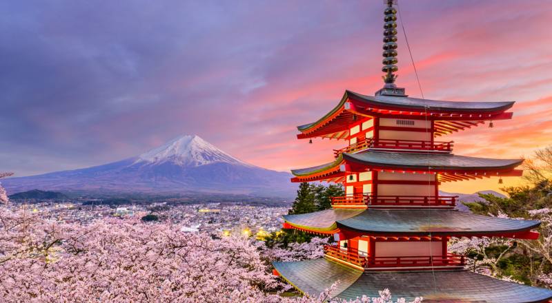 7 Night 8 days japan Tours