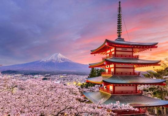 7 Night 8 days japan Tours